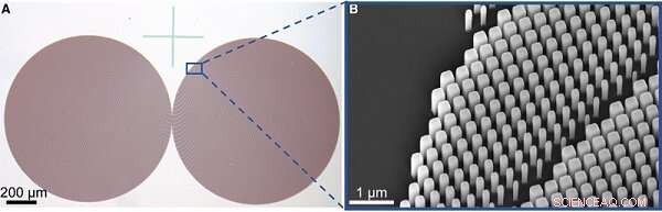 Revolutionary Microscopic Imaging Technique Delivers Ultra-High Resolution 3D Cell Visualizations