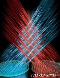 Revolutionary Microscopic Imaging Technique Delivers Ultra-High Resolution 3D Cell Visualizations