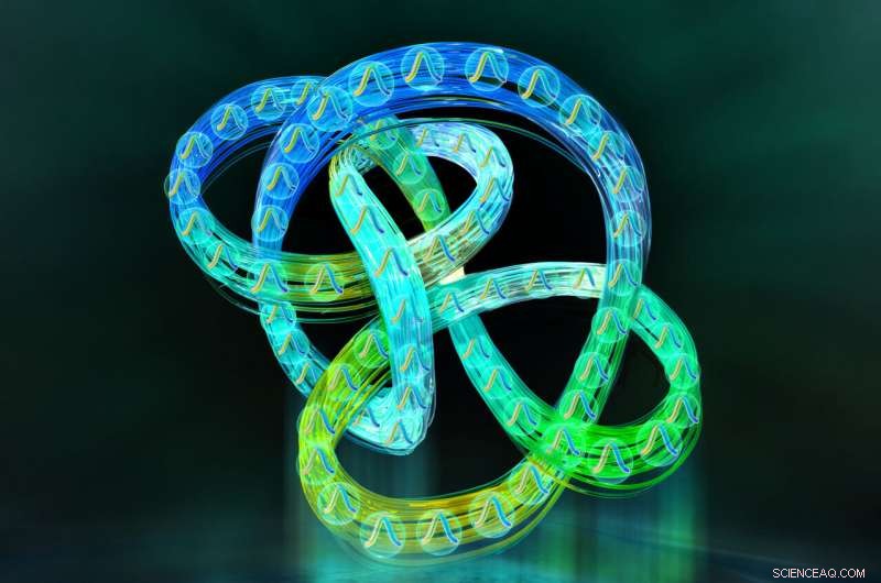 Experimental Observation of Topological Dissipation in Photonic Resonators