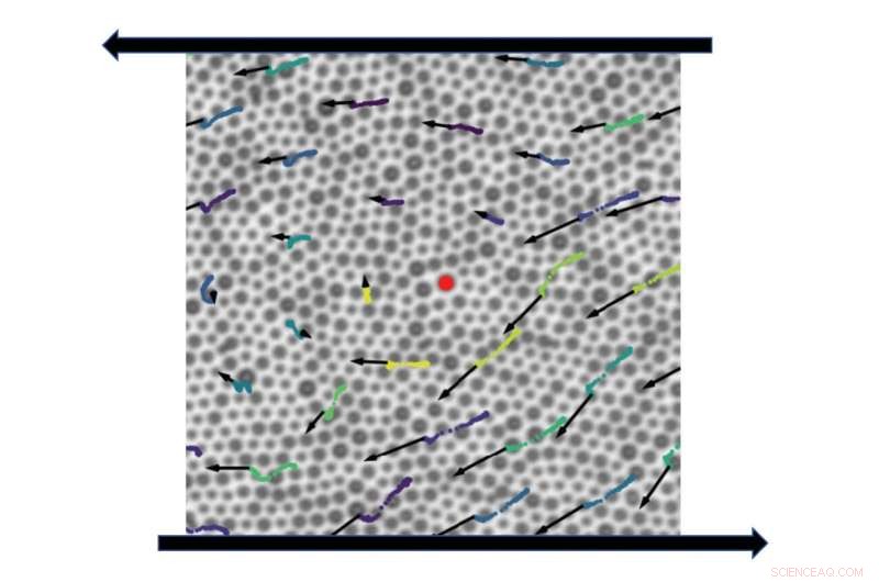 Linking Particle Structure to Flow Dynamics in Disordered Materials