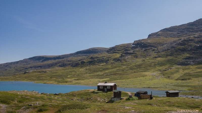 Melting Permafrost Fuels Rising Greenhouse Gas Emissions from Arctic Lakes