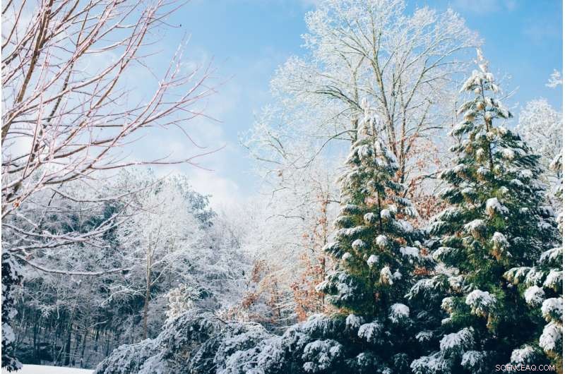 Rising Winter Temperatures Fuel Nutrient Pollution, Endangering 40% of U.S. Waterways