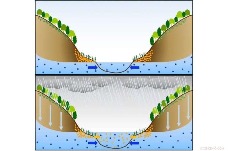 Riparian Soil Dominates Stream Nitrate Levels Over Rainwater, Nagoya University Finds
