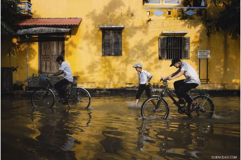 Can Sponge Cities Effectively Mitigate Urban Flooding? Insights & Success Factors