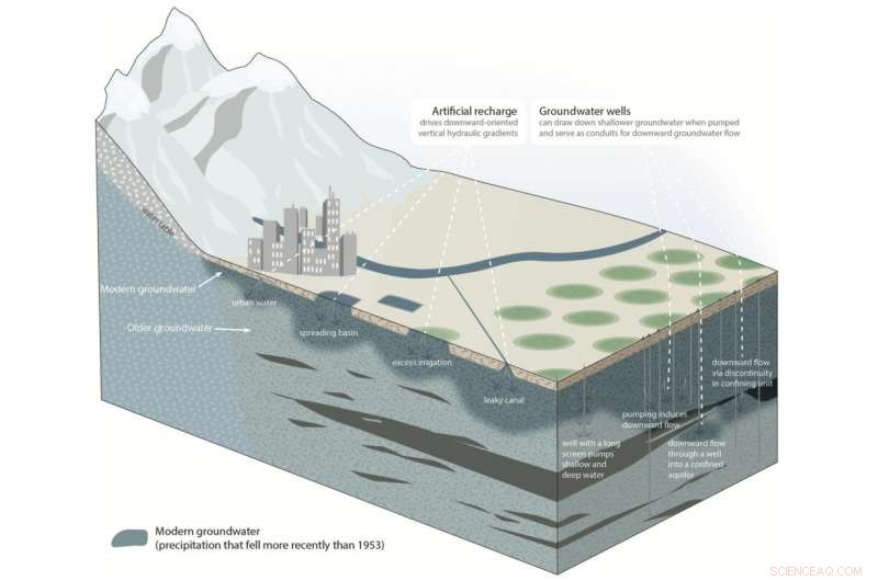 Pumping Alters Groundwater Flow, Drawing Younger Water Deeper and Risking Contaminant Spread