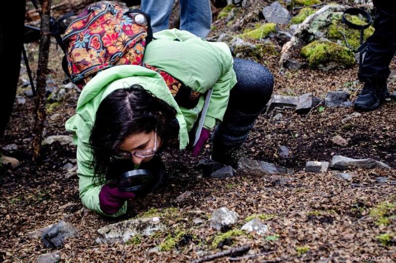 Chile s Remote Paradise: Scientists Study Climate Change in the Southern Wilderness