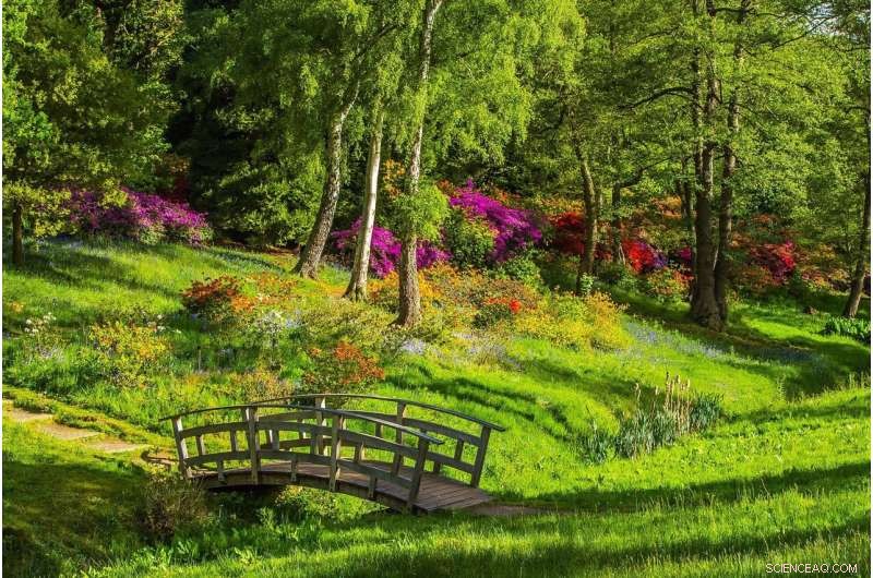 Global Parks & Green Spaces Portal: Connecting Researchers & Professionals for Better Outdoor Spaces