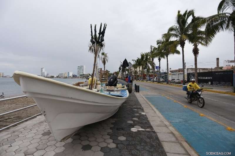 Hurricane Orlene Strikes Mexico’s Pacific Coast, Quickly Weakens