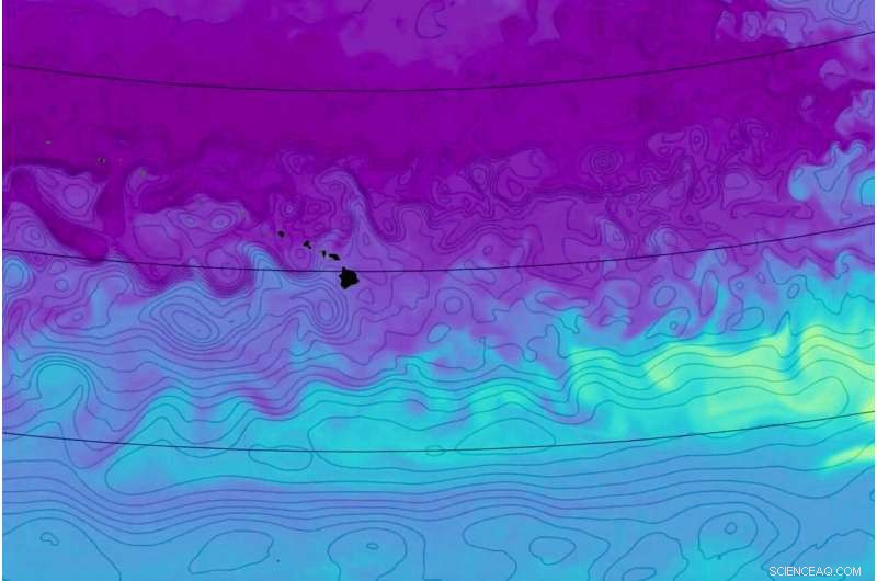 Tiny Ocean Eddies: Key Drivers of Microbial Nutrition