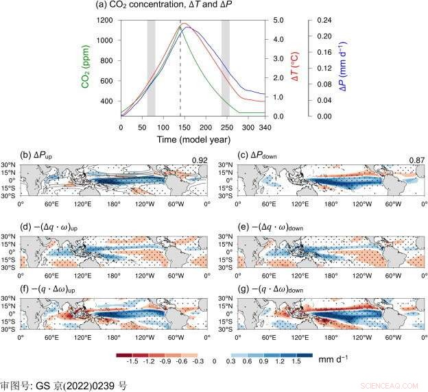 Ocean s Lagged Response to CO₂ Removal Drives Uneven Tropical Rainfall Shifts