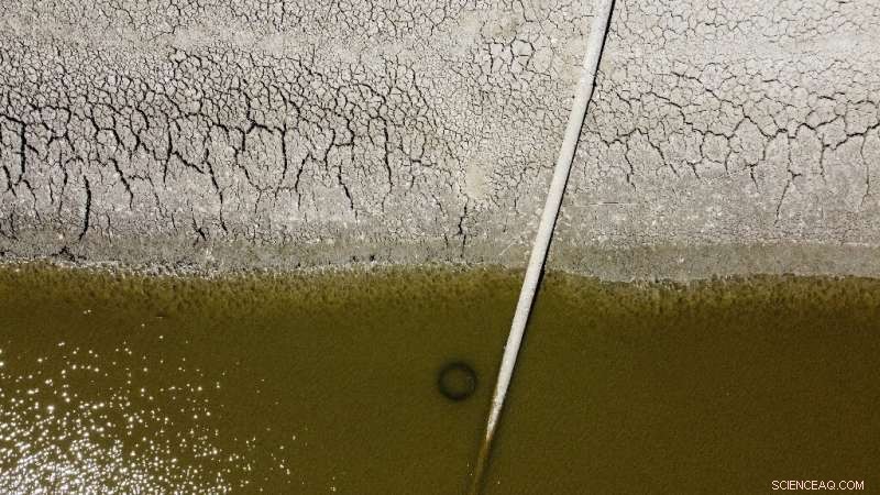 UK Climate Policy Sparks Concern Among Environmental Groups