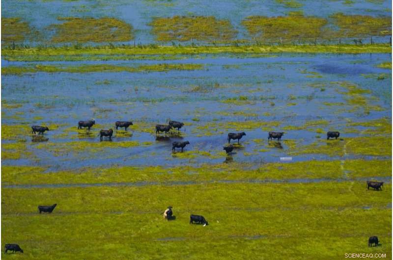 Florida Struggles With Flooding as Hurricane Ian Approaches South Carolina