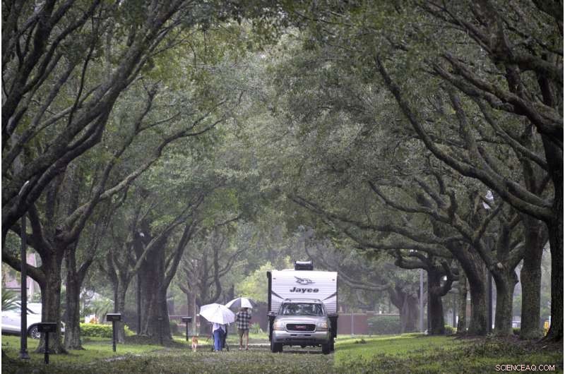 Florida Struggles With Flooding as Hurricane Ian Approaches South Carolina