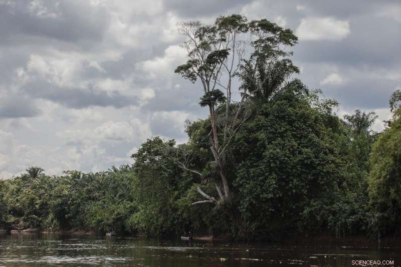 Rich Nations Urged to Increase Climate Commitments at Pre-COP27 Talks in DR Congo