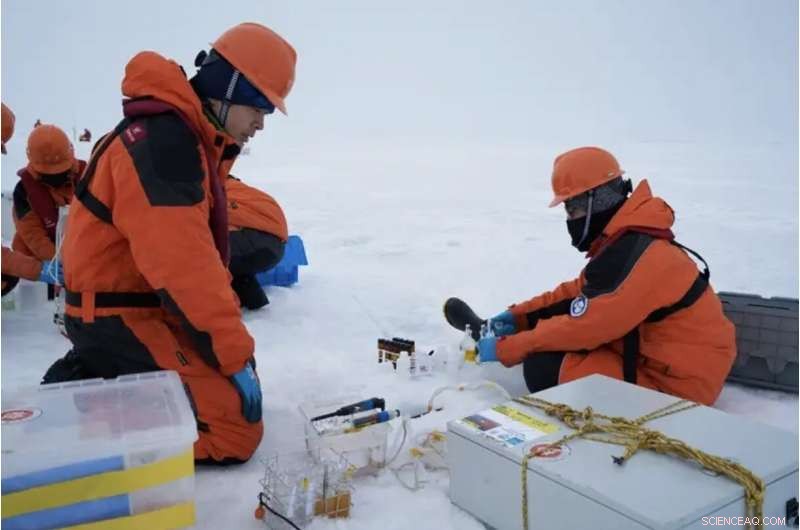 New Study Links Rapid Arctic Ice Melt to Rising Ocean Acidification