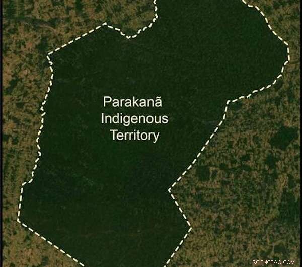 Indigenous Guardians Block Illegal Roads, Safeguarding the Amazon Rainforest