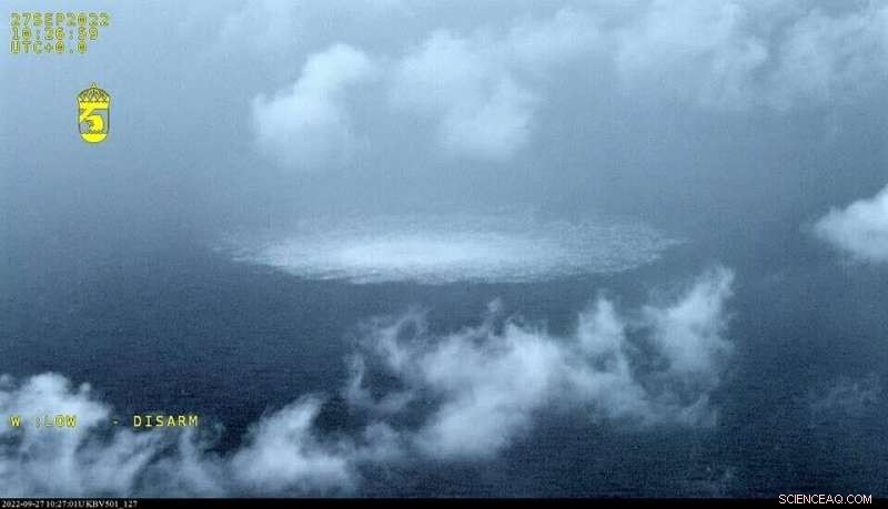 Nord Stream Pipeline Leak Threatens Baltic Marine Life and Climate