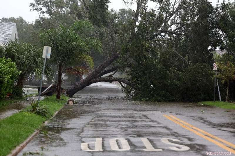 Florida Faces Massive Power Outages and Flooding as Hurricane Ian Hits