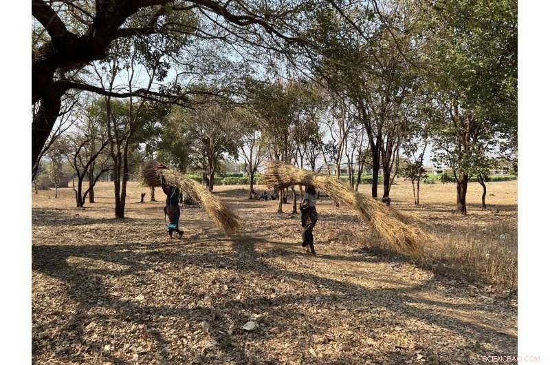 Transforming Science for Urgent Climate Action