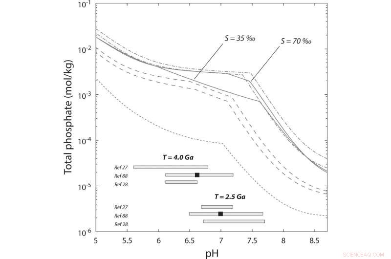 Seawater May Have Supplied Essential Phosphorus for Early Life