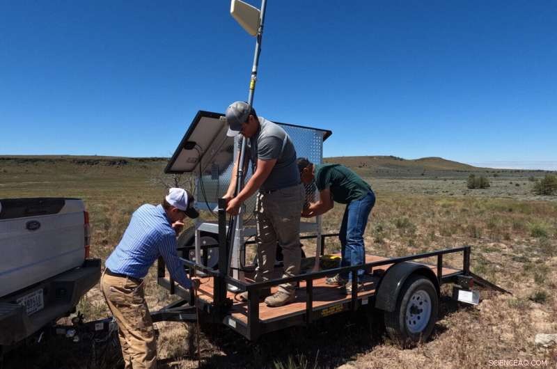 Virtual Fencing for Cattle Grazing Shows Promise as Effective Wildfire Fuel Breaks, Study Reveals