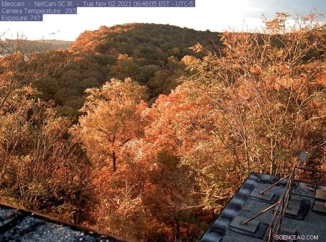 Climate Change and the Changing Colors of Autumn Foliage