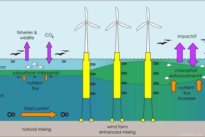 Deep‑Water Offshore Wind Farms: Urgent Need for Turbulence Impact Research