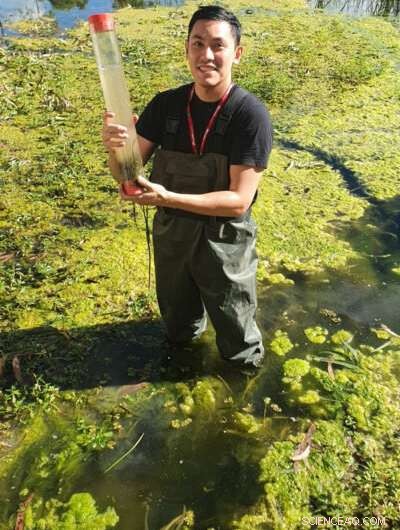 Constructed Wetlands Act as Strong Barrier Against Microplastic Pollution, Study Shows