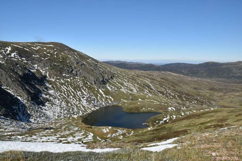 Backcountry Visitors  Waste Threatens Snowy Mountains  Ecosystem