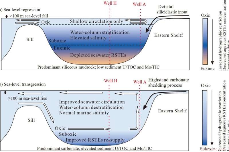 How Sea-Level Changes Shape Redox‑Sensitive Trace-Element Enrichment in Marine Sediments