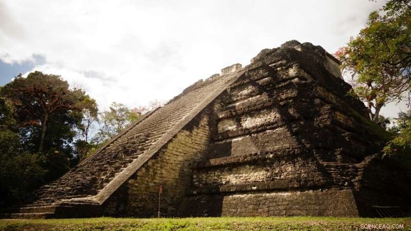 Ancient Maya Cities Found Contaminated by Mercury, New Research Reveals