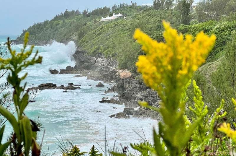 Bermuda Prepares for Hurricane Fiona: Strengthening Coastal Defenses