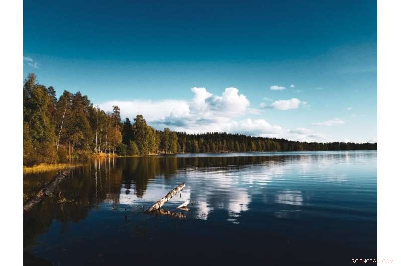 Climate Change Darkens Lakes: New Global Study Shows Rising Green-Brown Waters