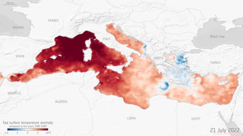 Mediterranean Sea Experiences Record Marine Heatwave, Threatening Ecosystems