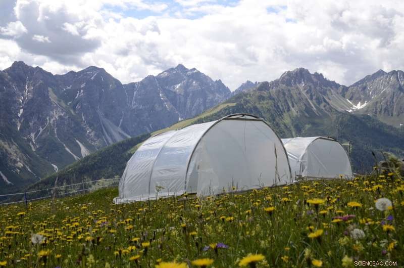 Long-Term Impact of Drought on Ecosystems: Recent Studies Reveal Findings