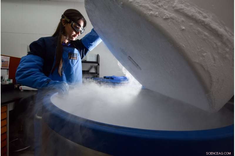 Shaping Food‑Security Research: Top Priorities Amid Extreme Events