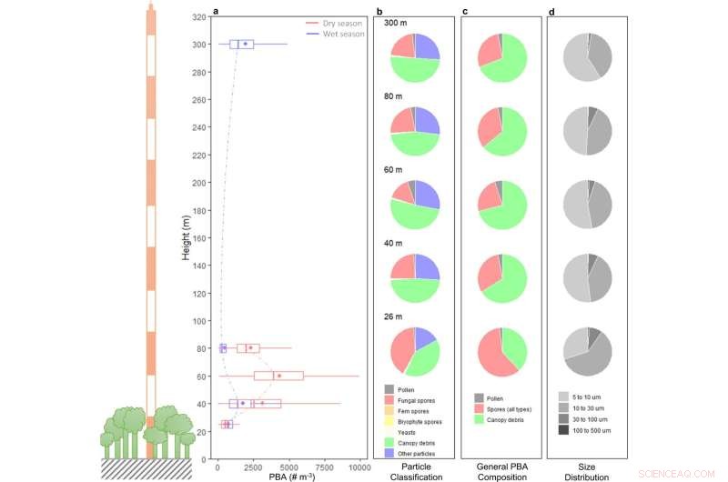 New Study Maps Pollen Travel Distances, Unlocking Causes of Urban Hay Fever