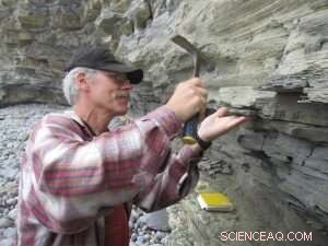 How Dinosaurs Thrived in High‑CO₂ Worlds: Lessons for Modern Humans