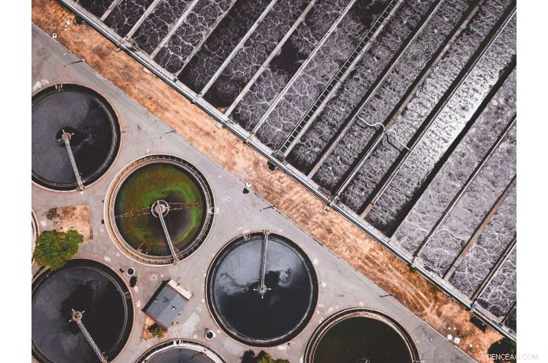 Chicago Sewage District Fails to Warn Gardeners About Toxic Sludge Containing Forever Chemicals