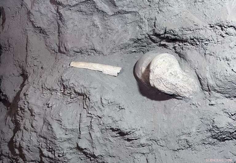 Exploring Permafrost’s Past to Predict Its Future: NASA ABoVE’s Field Study in Fairbanks