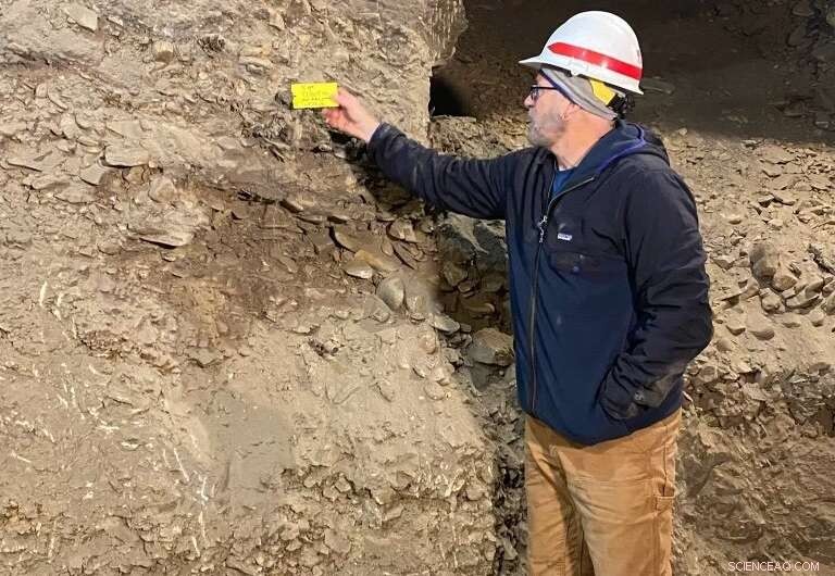 Exploring Permafrost’s Past to Predict Its Future: NASA ABoVE’s Field Study in Fairbanks