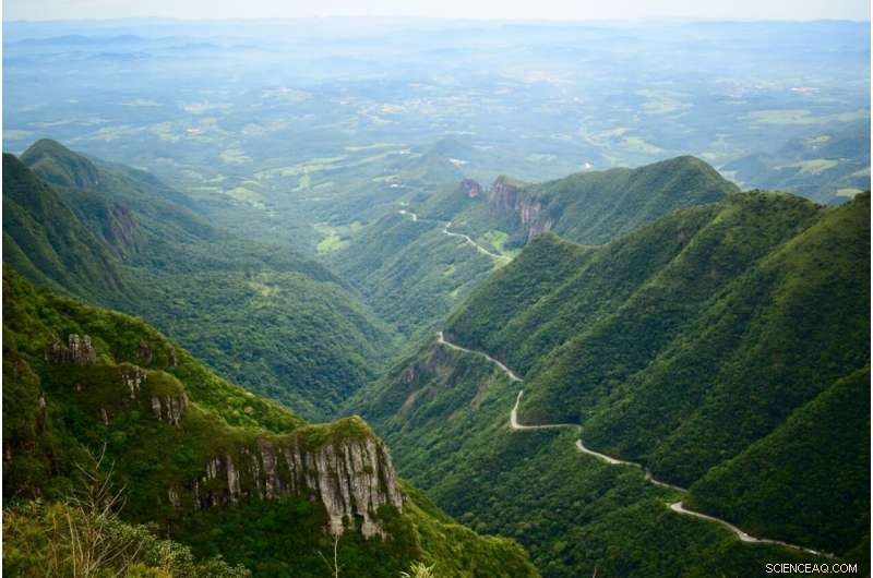Brazil’s Last Uncontacted Indigenous Man Dies: Implications for Indigenous Rights and Global Sustainability