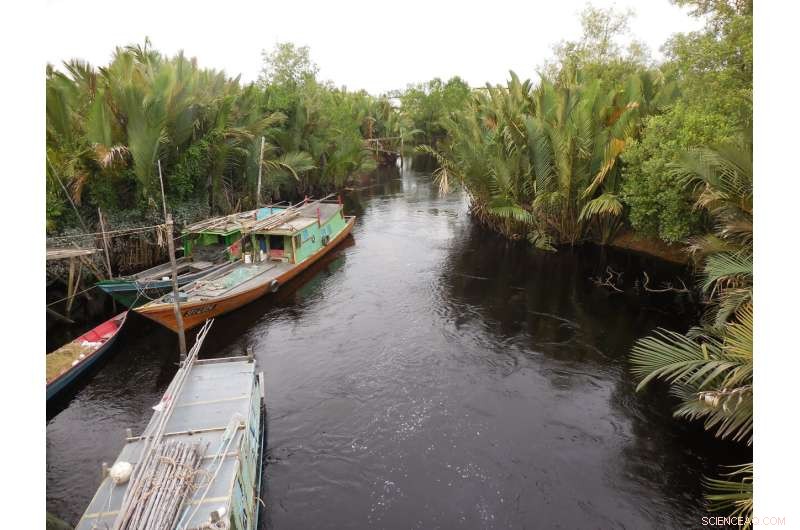 Geoengineering Risks: Destabilizing Tropical Peat Soils