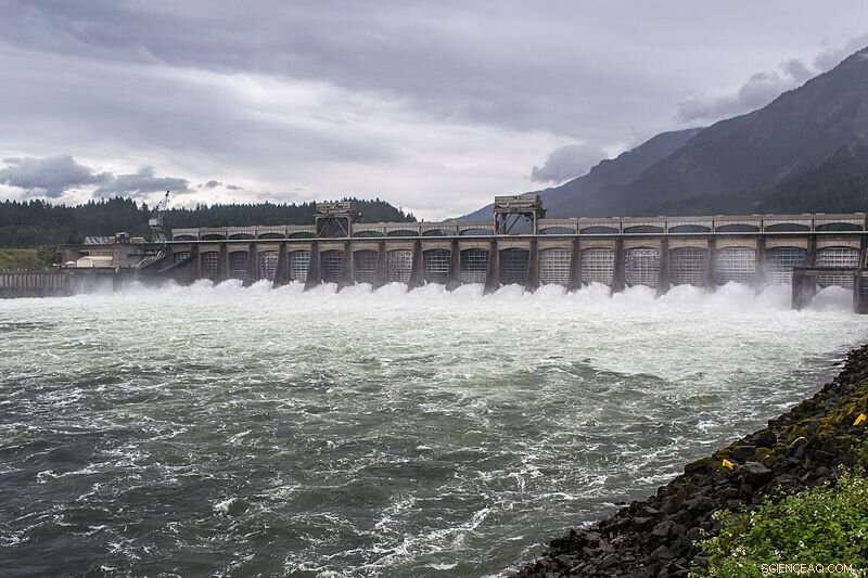 Rising Methane Emissions from Reservoirs Highlight Urgent Climate Impact