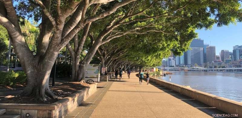 Climate Change Threatens 90–100% of Urban Trees in Australian Cities—and the Majority of Global City Species