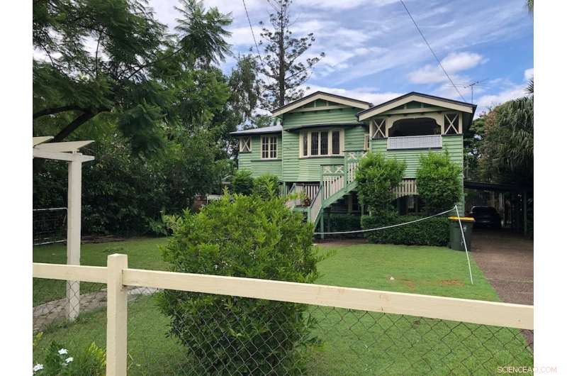 Climate Change Threatens 90–100% of Urban Trees in Australian Cities—and the Majority of Global City Species