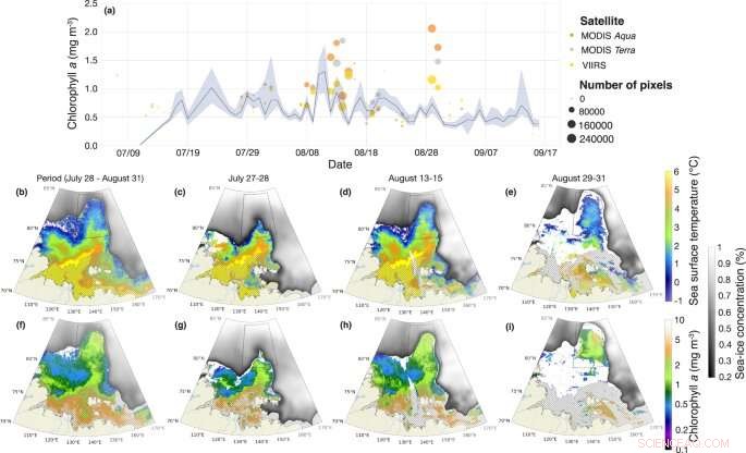 Wildfire Smoke May Have Fueled a Massive Arctic Phytoplankton Bloom