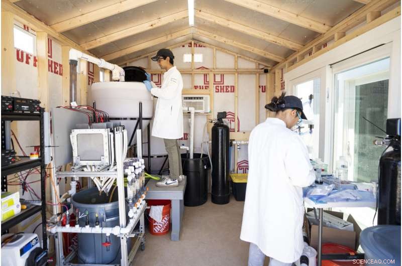 Revolutionizing Rural California: Safe Arsenic-Free Water for Communities