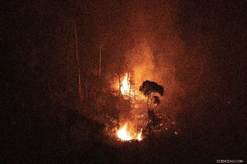 Brazil Reports Record Amazon Fires in 2024, Surpassing All 2021 Incidents