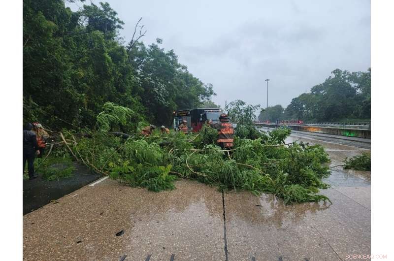 Puerto Rico Suffers Power Outage and Major Damage as Hurricane Fiona Strikes